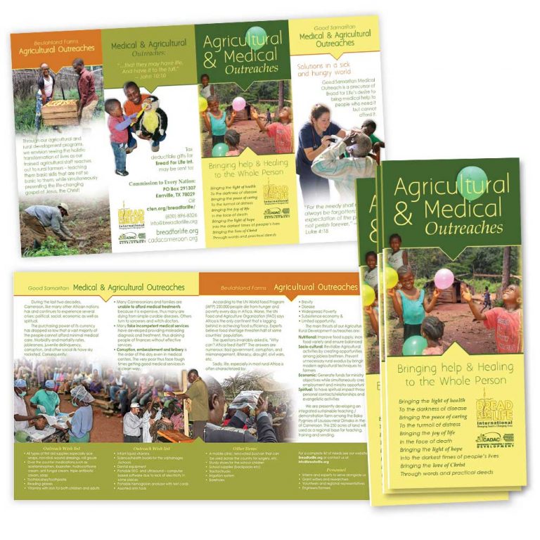 brochure-6